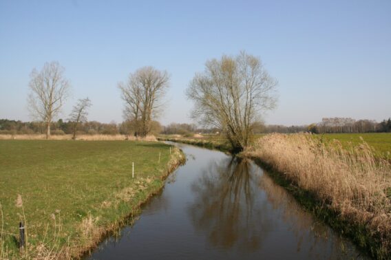 Omgeving 21